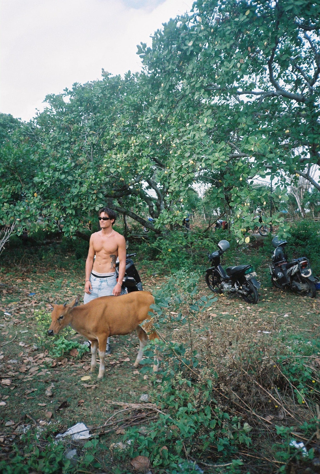 Image 6